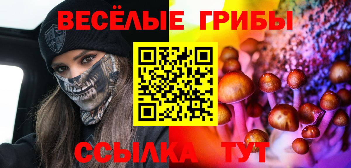 Псилоцибиновые грибы прущие грибы Дивногорск